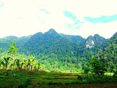 Về Phú Thọ thăm vườn quốc gia Xuân Sơn